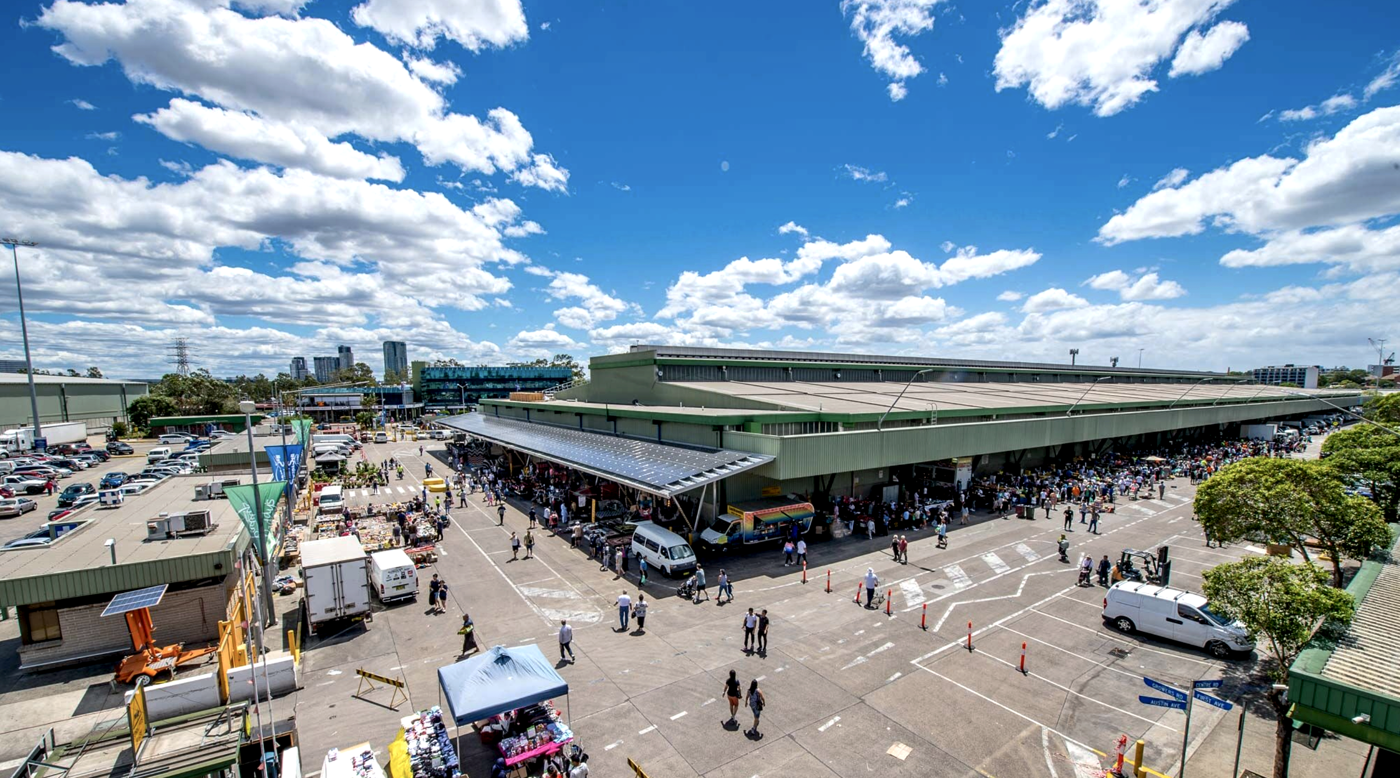 Paddys Trader Gallery